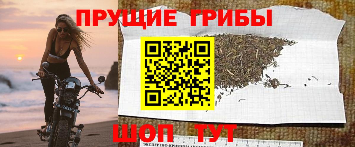 Галлюциногенные грибы Psilocybine cubensis  Галлюциногенные грибы мицелий  Вход с VPN  Абинск 